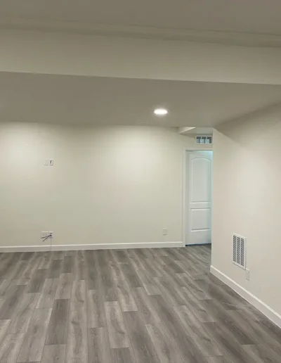 Custom Basement