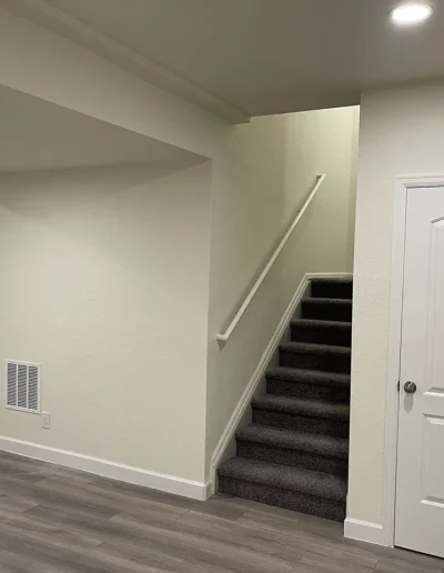 Custom Basement