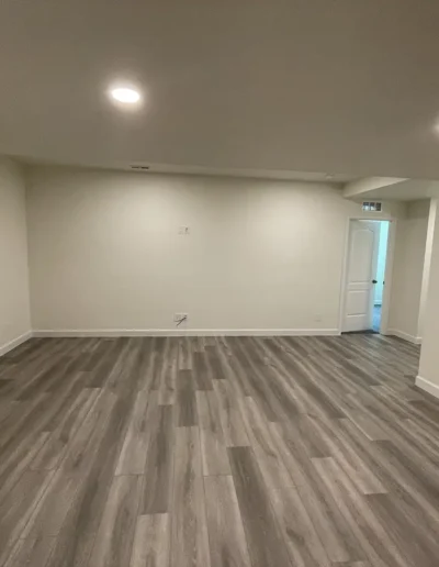Custom Basement