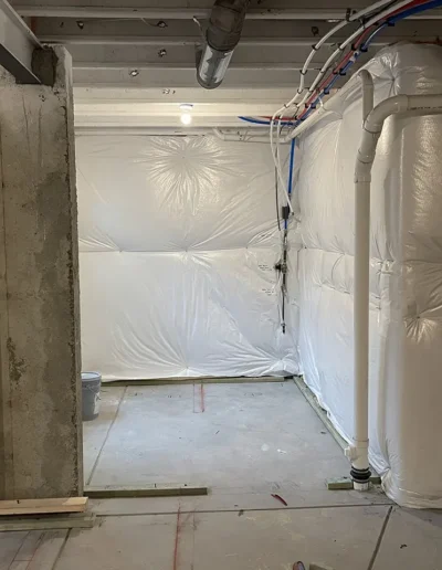 Custom Basement