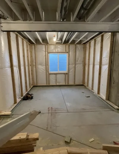 Custom Basement