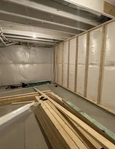 Custom Basement