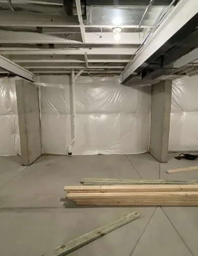 Custom Basement