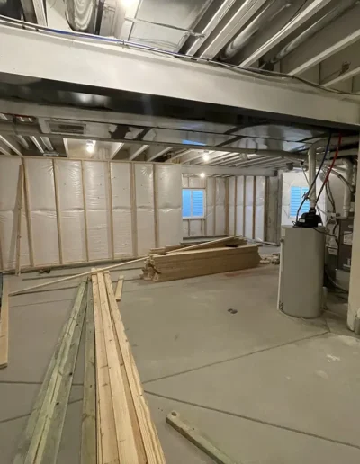 Custom Basement