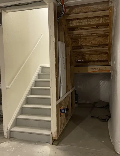 Custom Basement