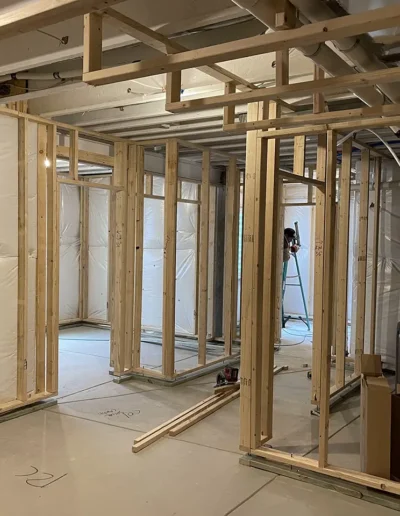 Custom Basement