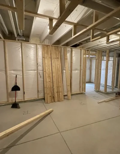 Custom Basement