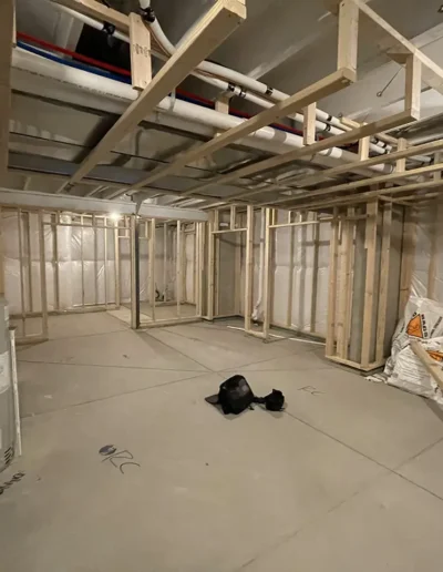 Custom Basement