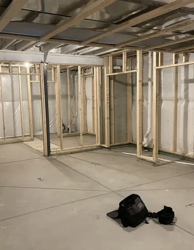 Custom Basement