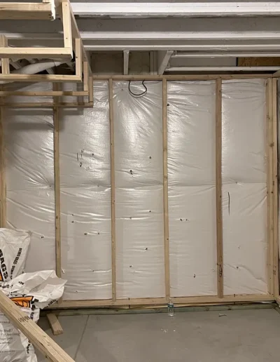Custom Basement