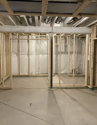 Custom Basement